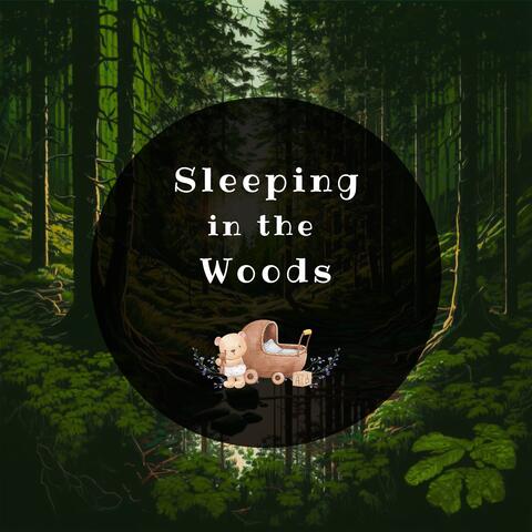 Sleeping in the Woods