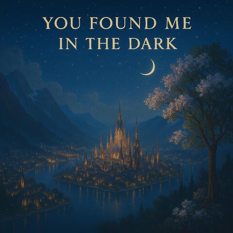 You Found Me In the Dark