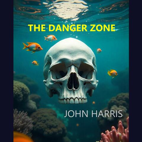 THE DANGER ZONE