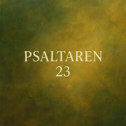 Psaltaren 23