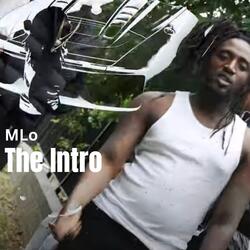 The Intro