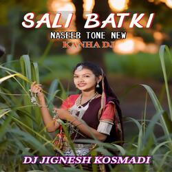 SALI BATKI NASEEB TONE NEW