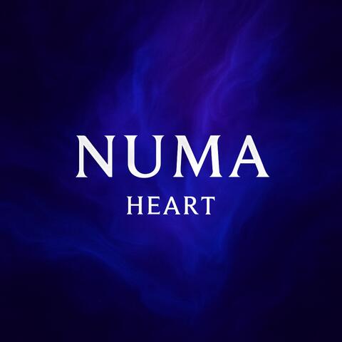 Heart