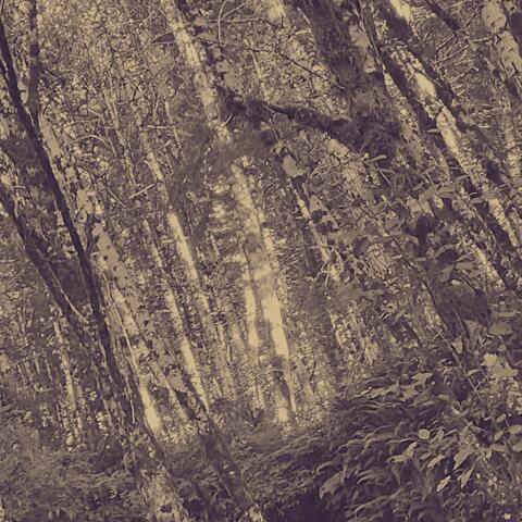 See You In Another Life