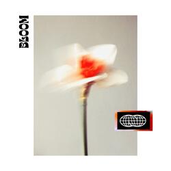 Bloom