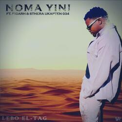 Noma Yini