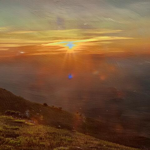 the way the light went