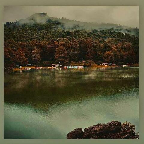 Remedios Mágicos Para Un Corazón Roto