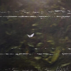 Blink