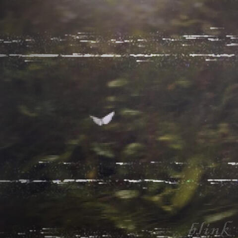 Blink