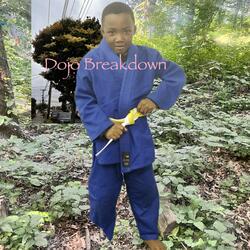 Dojo Breakdown
