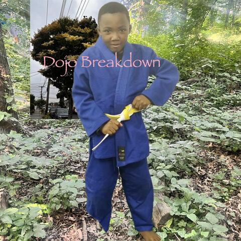 Dojo Breakdown