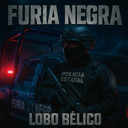 Furia Negra