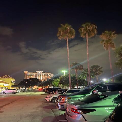 Florida Hoe
