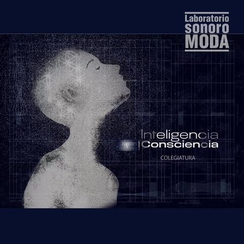 COLEGIATURA - INTELIGENCIA CONCIENCIA