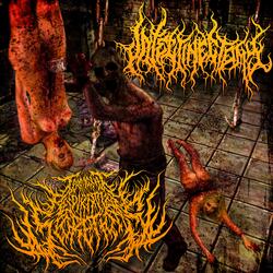 Retarded Apotemnophiliatic Stump Masturbation