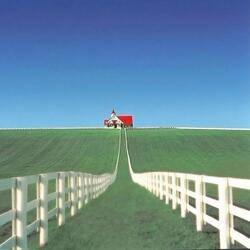 i never rang the doorbell