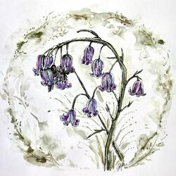 how could you do such a thing?