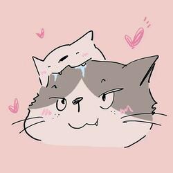 一顆星星降落在我的世界裡