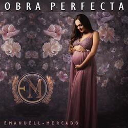 Obra Perfecta