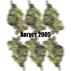 Август 2005