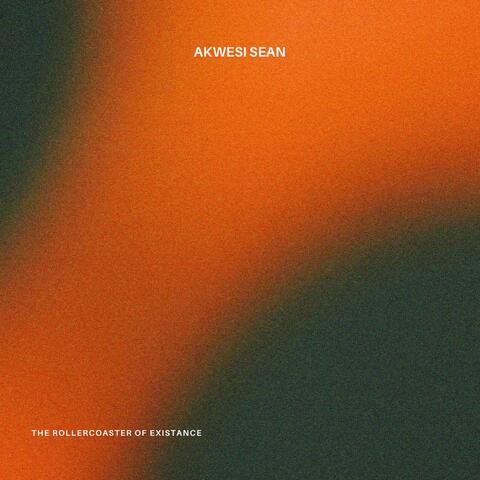 THE ROLLERCOASTER OF EXISTANCE