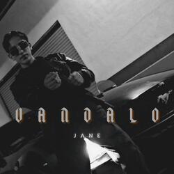 VANDALO