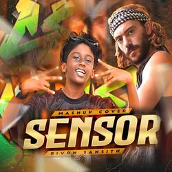 Sensor