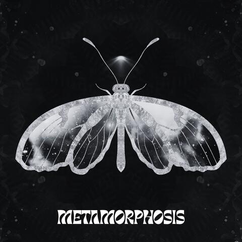 METAMORPHOSIS