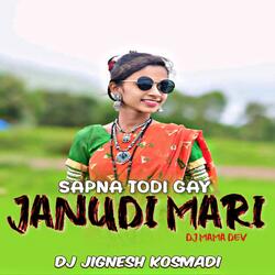 SAPNA TODI GAY JANUDI MARI