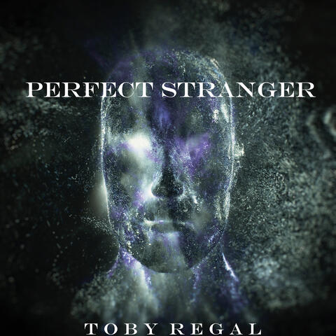 Perfect Stranger