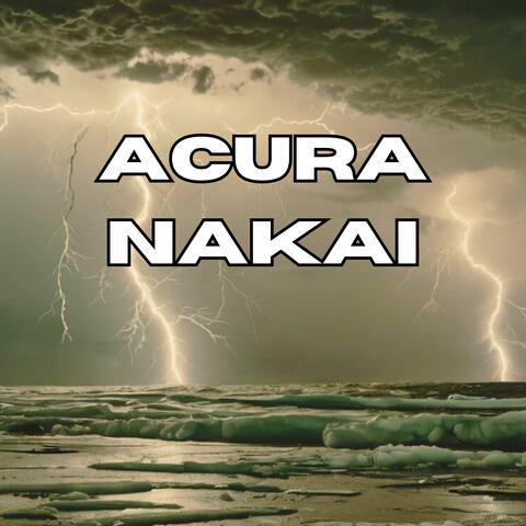 Acura nakai