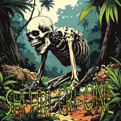 Safari