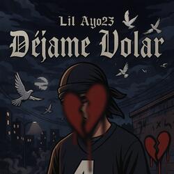 Dejame Volar