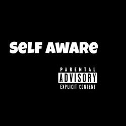Self Aware