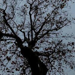 aunque me destruya mi estilo de vida