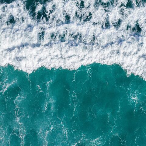 Motion