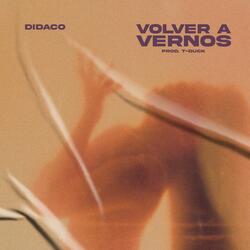VOLVER A VERNOS