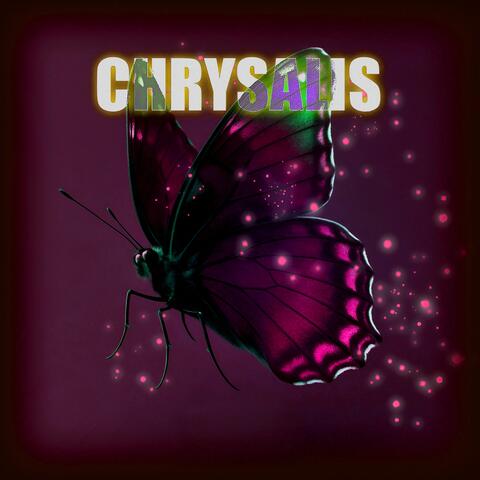Chrysalis