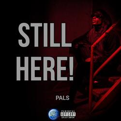 Still Here