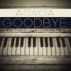 Goodbye