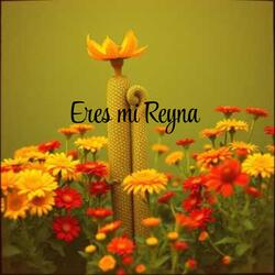 Eres mi Reyna
