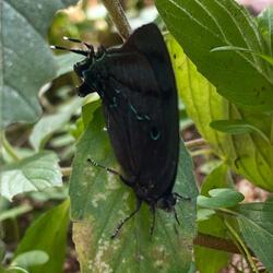 Isso NÃO é um desabafo