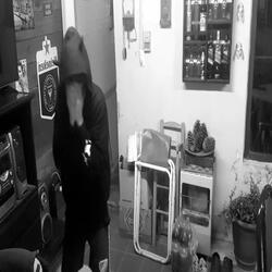 MARPLA PARA EL MUNDO