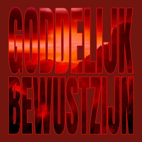 Goddelijk Bewustzijn