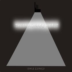 Search of the Vitruvian Man Over