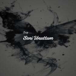 Seni Unuttum