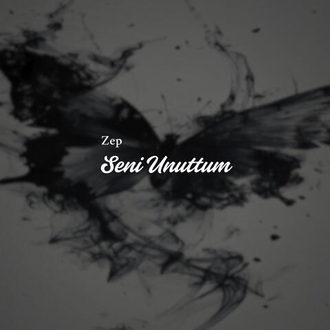Seni Unuttum