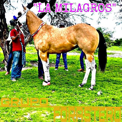 La milagros