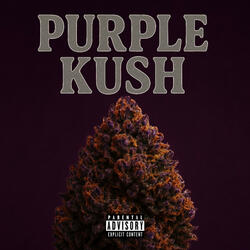 Purple Kush